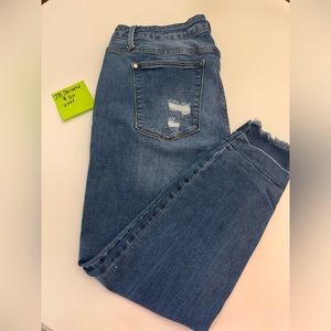 Judy Blue Skinny Fit 20W